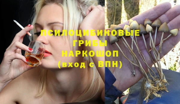 скорость Богородск