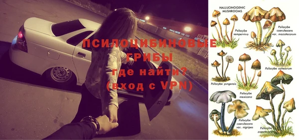 скорость Богородск