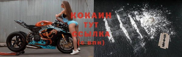 спиды Богданович