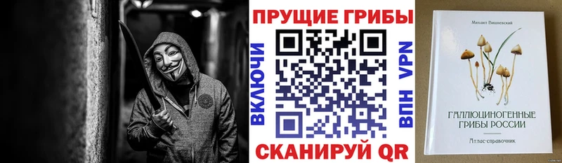 гидра ССЫЛКА  Новочебоксарск  Галлюциногенные грибы Cubensis 